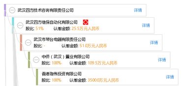武汉四方技术咨询有限责任公司 专业引领，技术驱动未来