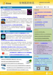 长煦信息技术咨询 数字化转型时代的专业引领者